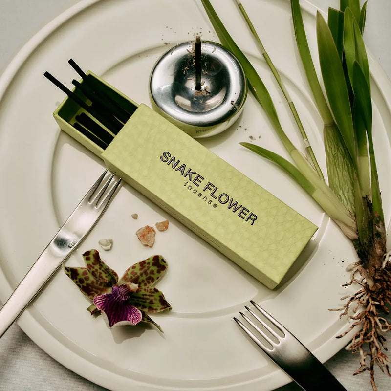 The Second Wave - Snake Flower