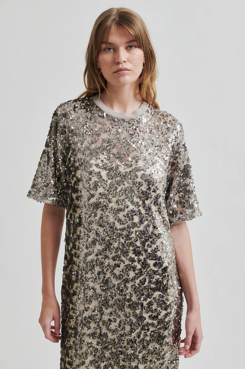 Haveny Sequin Dress