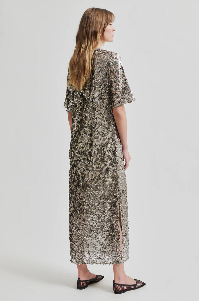 Haveny Sequin Dress
