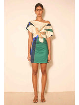 Desert Flower Mini Dress