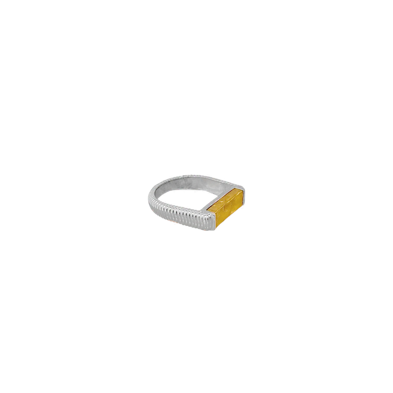 NISHA Ring | Mixed Metal