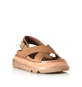 Veena - Camel