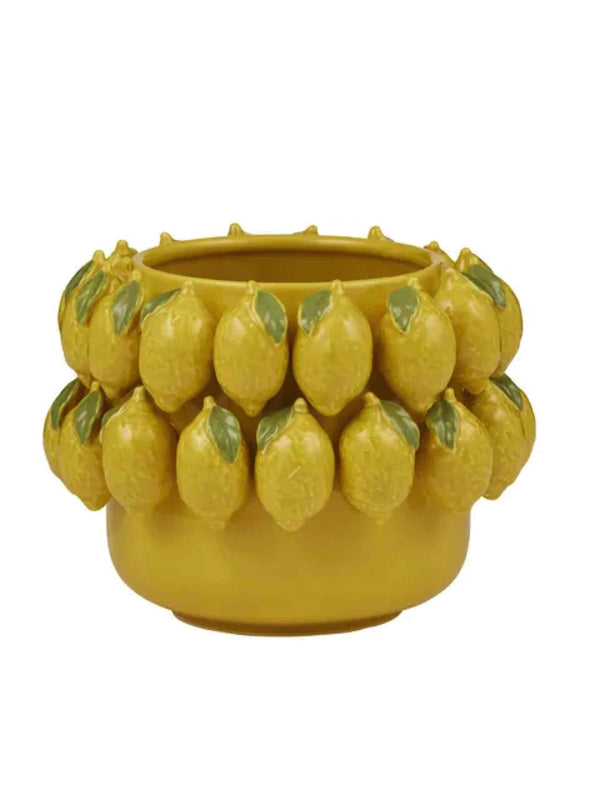 Limone Ceramic Pot