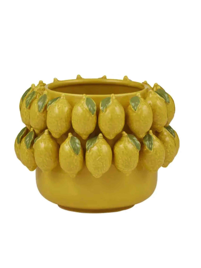 Limone Ceramic Pot