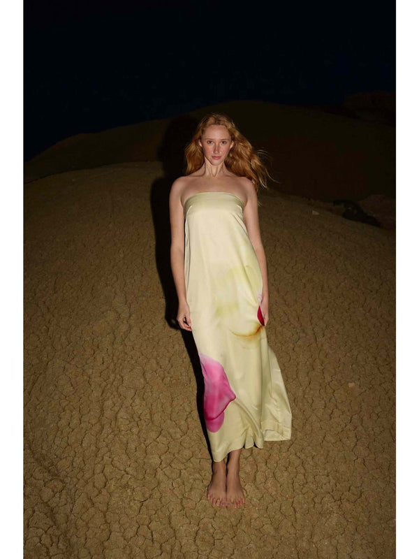 Lucie Dress - Elfin Phalae