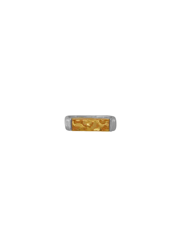 NISHA Ring | Mixed Metal