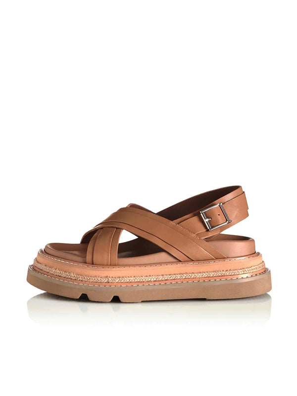 Veena - Camel