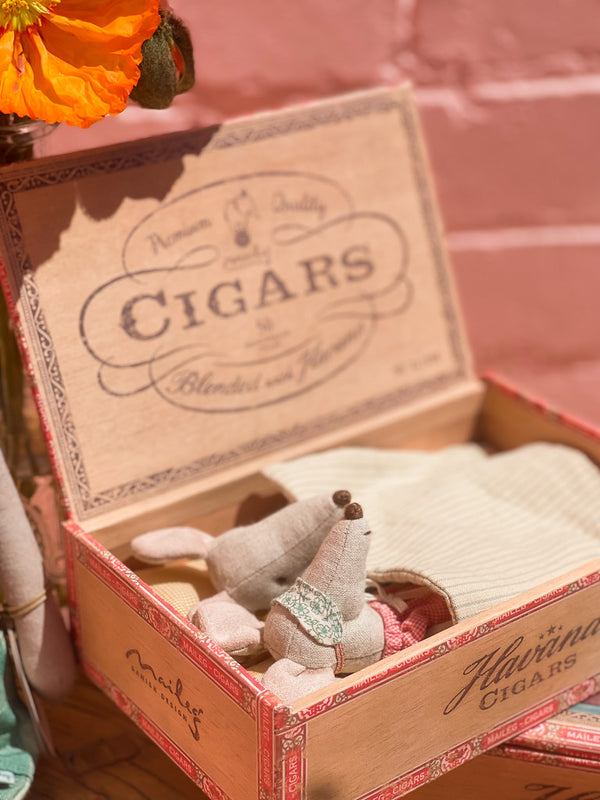 Mum & Dad Mice in Cigarbox