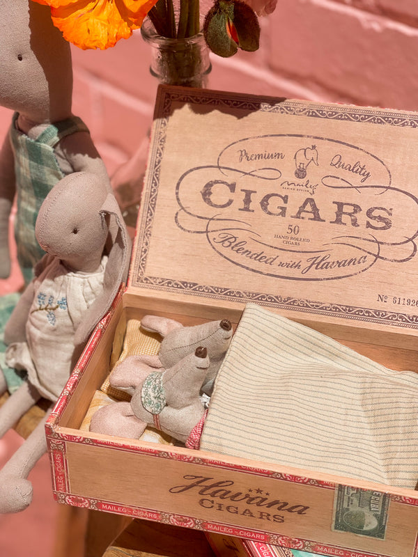 Mum & Dad Mice in Cigarbox